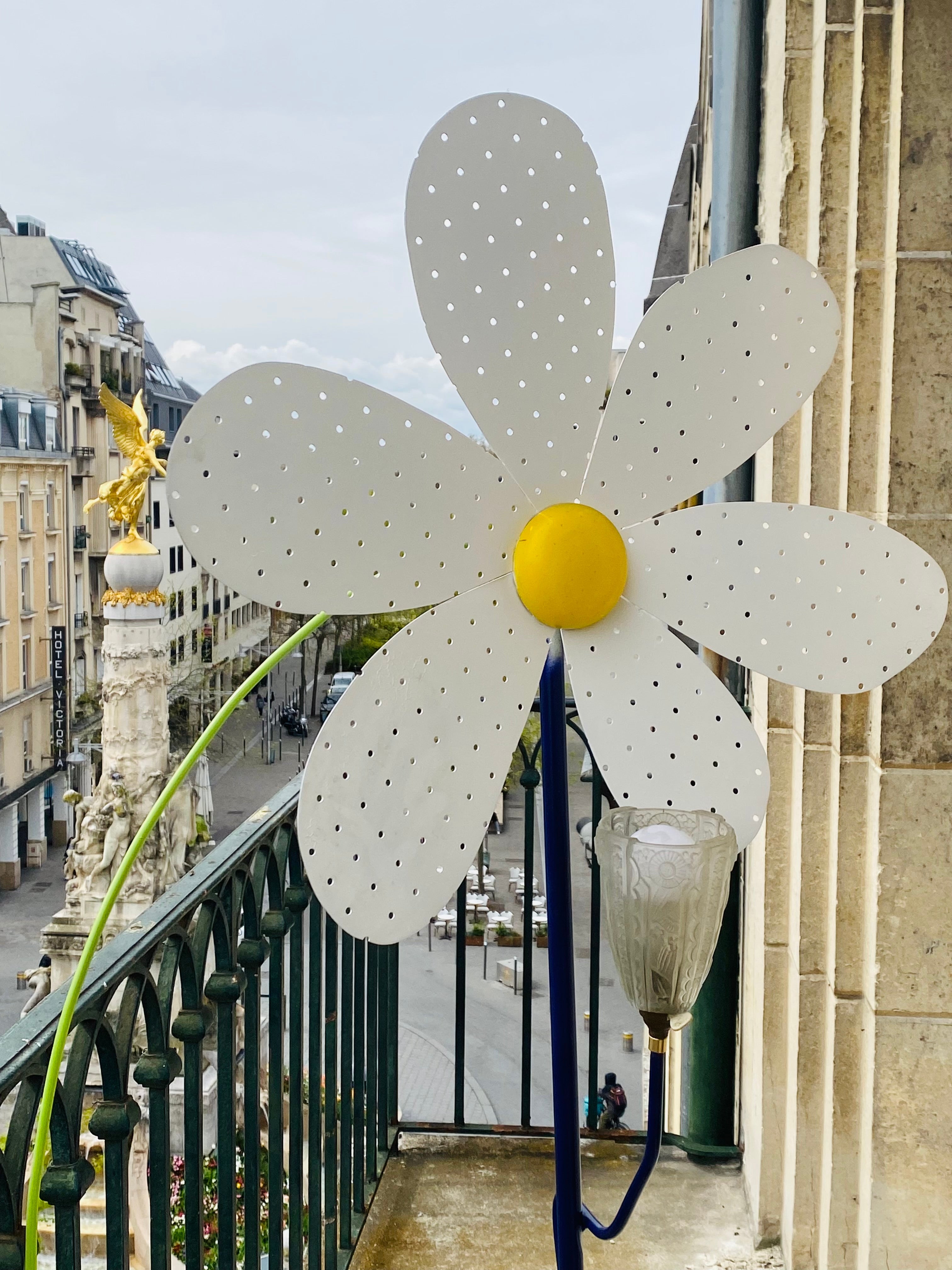 Marguerite à Fleur de Mon Cœur