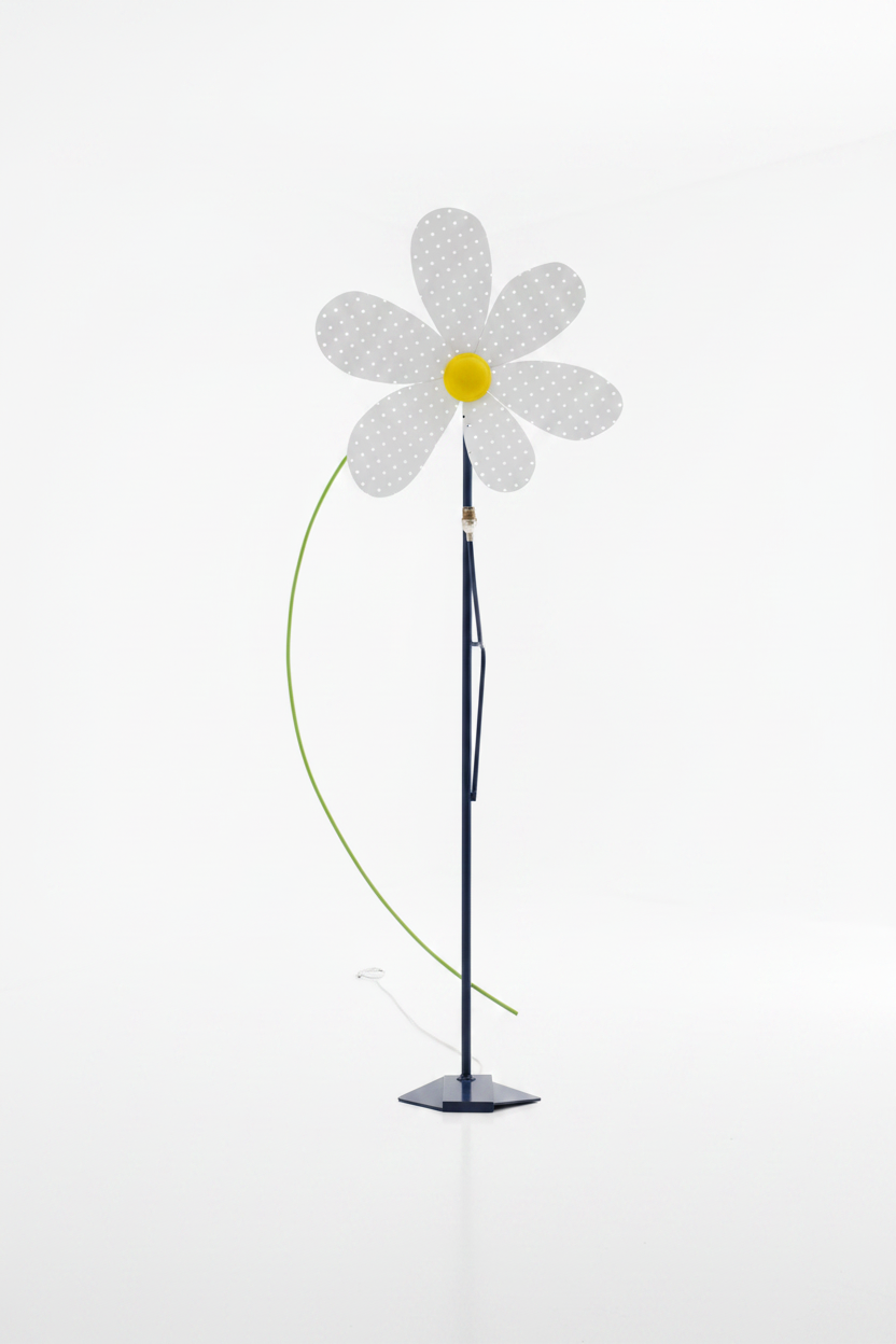 Marguerite — Studio galerie fond blanc
