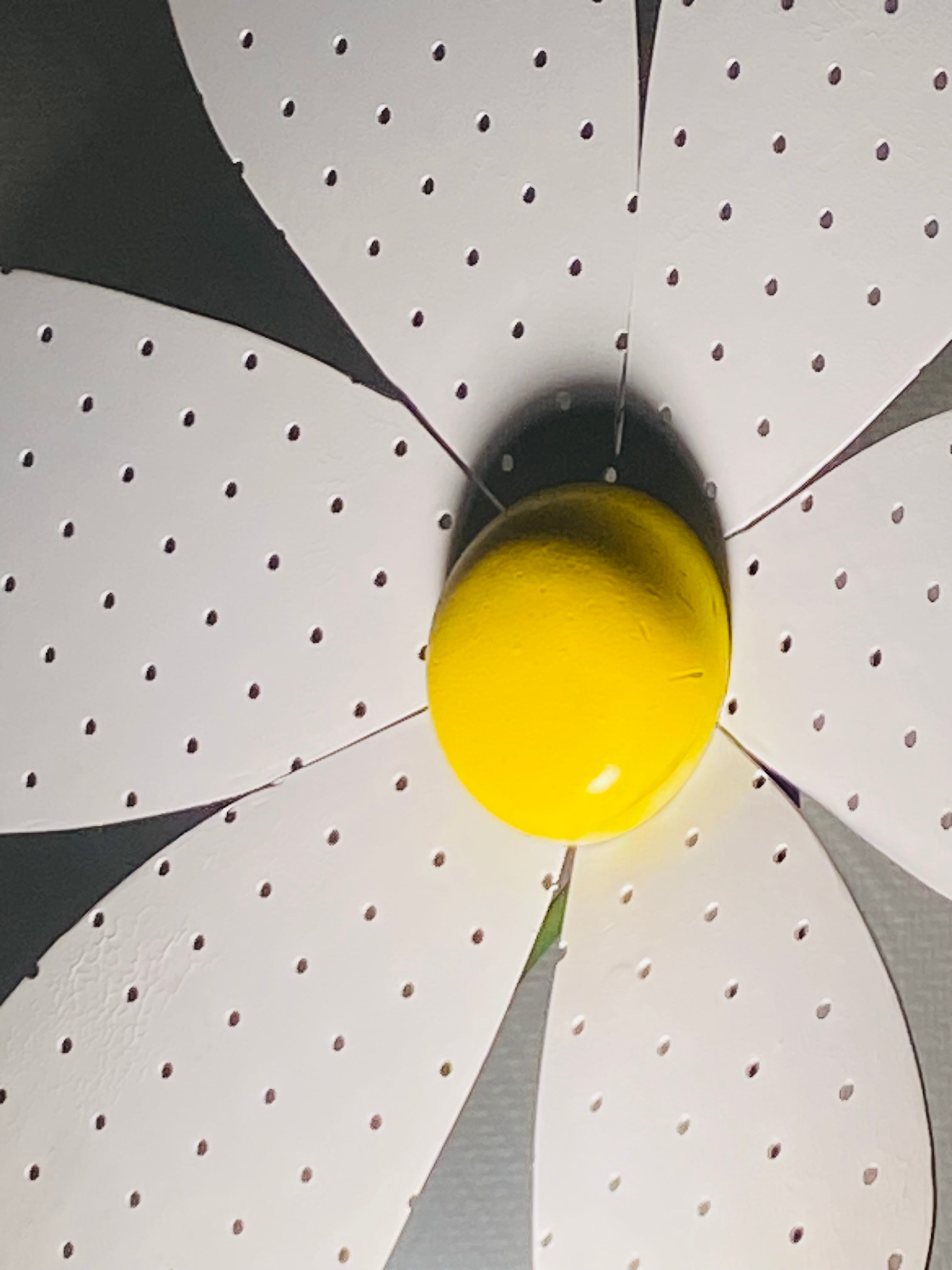 Marguerite à Fleur de Mon Cœur