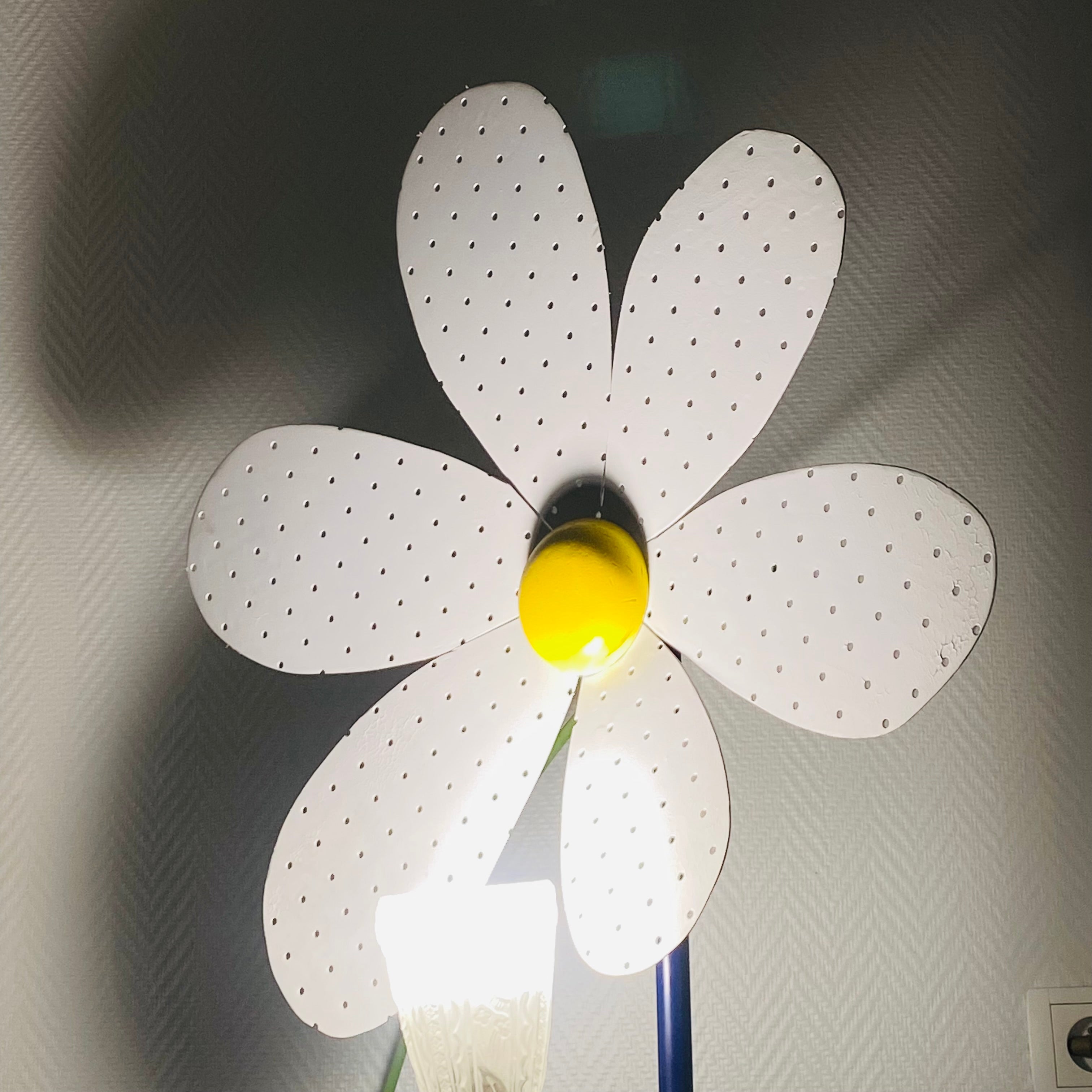 Marguerite à Fleur de Mon Cœur