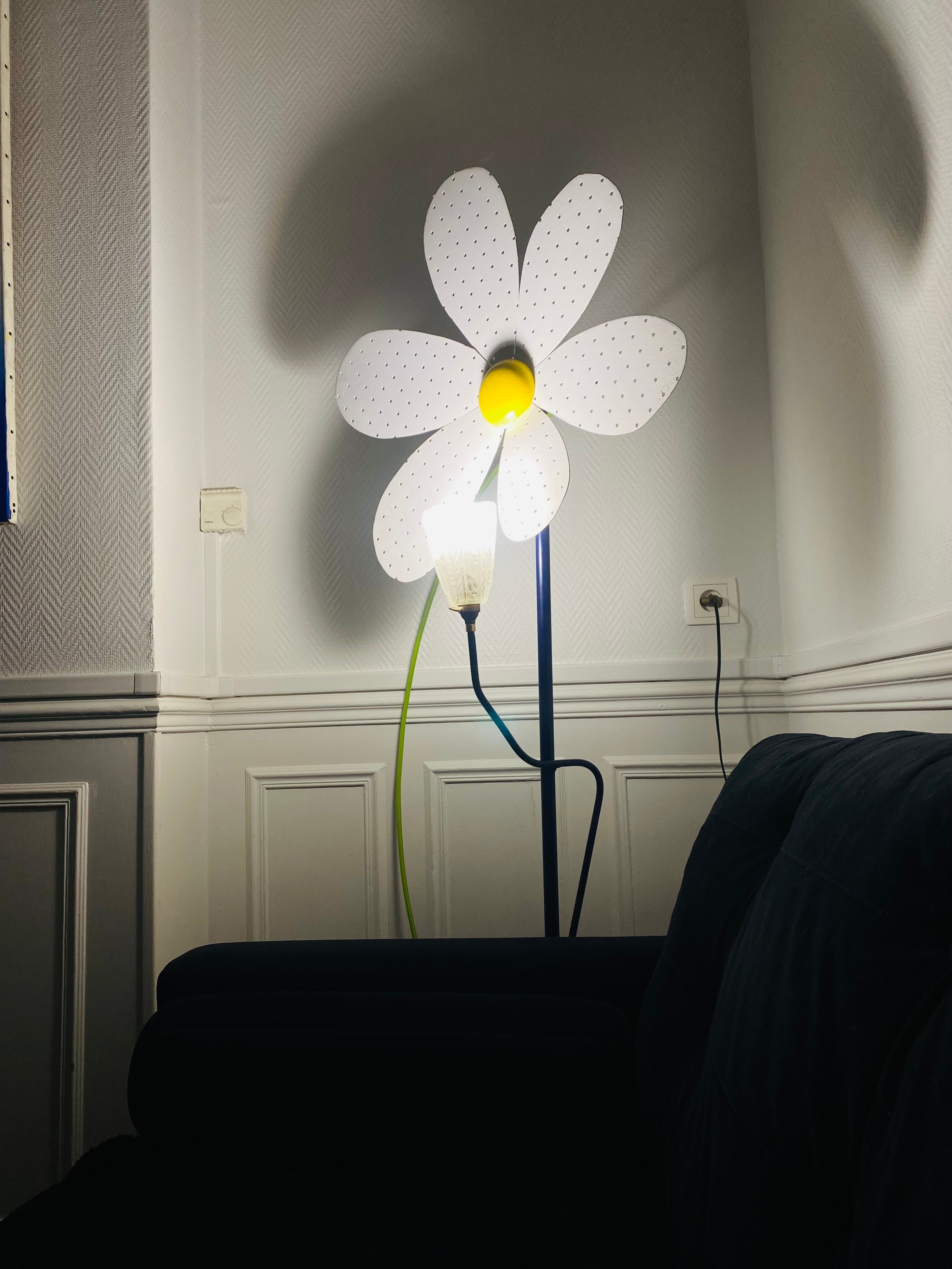 Marguerite à Fleur de Mon Cœur